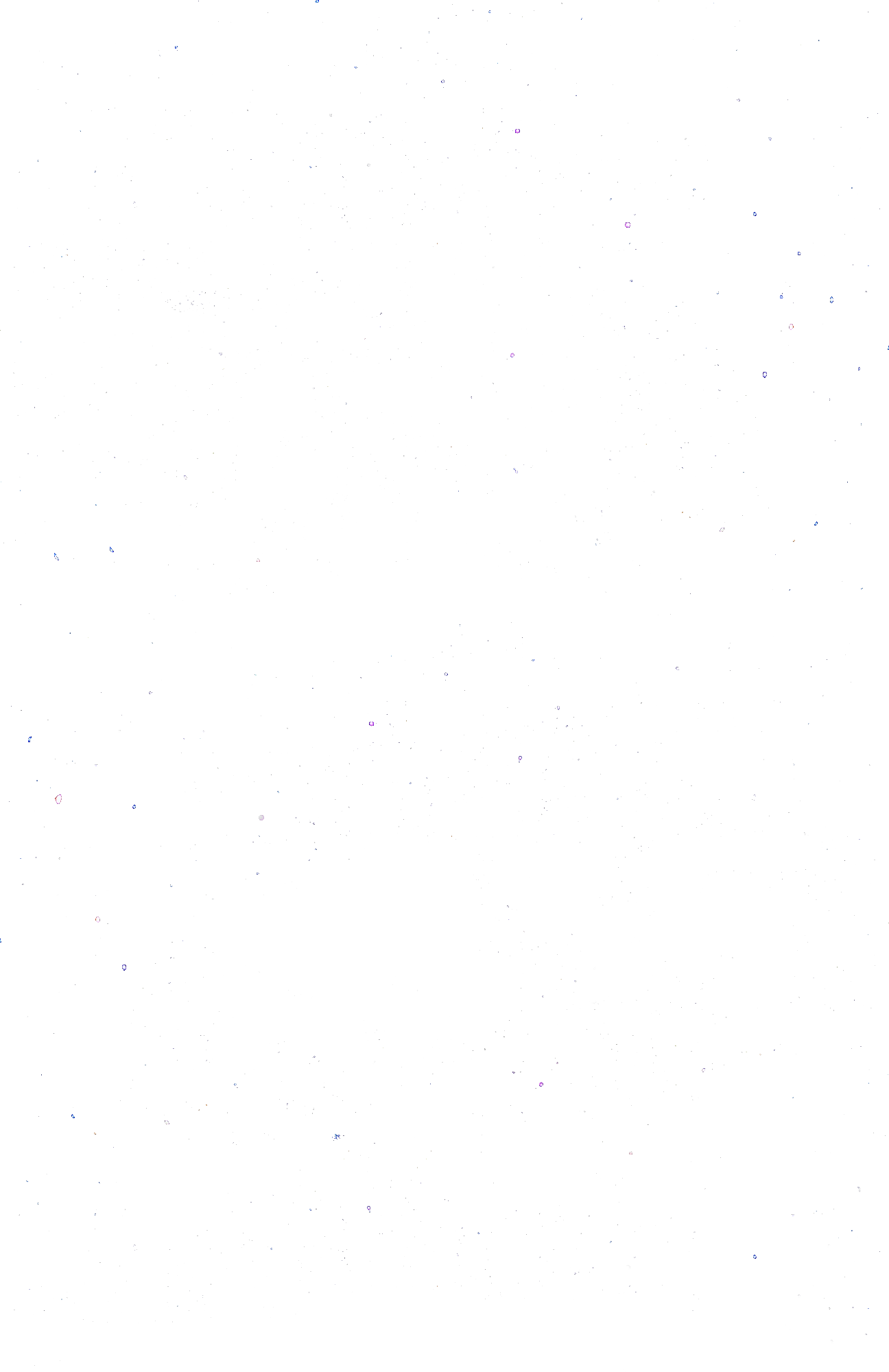 Night sky of stars